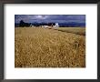 Storm Clouds Hover Over A Farm And Wheat Field by James L. Stanfield Limited Edition Print