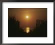 Sunrise Over The Ocean Silhouettes Dunes And Erosion Fences by Stephen St. John Limited Edition Print
