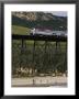 The Coast Starlight Passes Over A Trestle Bridge Near Santa Barbara, California by Phil Schermeister Limited Edition Pricing Art Print