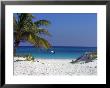 A Palm Tree On A White Sand Beach And A Motorboat by Raul Touzon Limited Edition Print