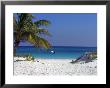 A Palm Tree On A White Sand Beach And A Motorboat by Raul Touzon Limited Edition Pricing Art Print
