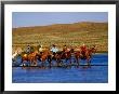 Cowboys And Cowgirls Fording A River, Aspen, U.S.A. by Curtis Martin Limited Edition Print