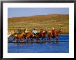 Cowboys And Cowgirls Fording A River, Aspen, U.S.A. by Curtis Martin Limited Edition Pricing Art Print