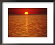 The Sun Sinks Into Pamlico Sound by Stephen St. John Limited Edition Print