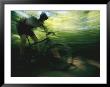 Panned Shot Of A Mountain Biker by Stephen Alvarez Limited Edition Pricing Art Print