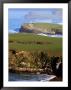 Coastline At Long Point Near Papatowai, Papatowai, New Zealand by Paul Kennedy Limited Edition Print