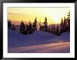 Sunset At Paradise, Mt. Rainier National Park, Washington, Usa by Jamie & Judy Wild Limited Edition Pricing Art Print