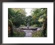 Lamorran House, Cornwall View Down Garden, Statue, Trachycarpus, Osteospermum by Mark Bolton Limited Edition Print