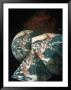 The World Existing In Different Shapes by Carol & Mike Werner Limited Edition Print