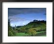 Vineyards In Autumn, Northern Bavaria by Berndt Fischer Limited Edition Pricing Art Print