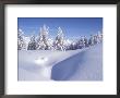 Snow Scene In Austrian Alps by David Boag Limited Edition Pricing Art Print