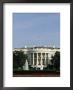 The South Side Of The White House With A Security Guard On The Roof by Taylor S. Kennedy Limited Edition Print