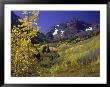 Valley With Autumn Foliage, Maroon Bells, Co by David Carriere Limited Edition Print