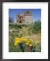 Abandoned Spanish Colonial Mission And Mexican Gold Poppies by Rich Reid Limited Edition Print