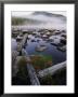 Foggy Early Morning Shot Of Pogy Pond In Baxter State Park, Maine by Phil Schermeister Limited Edition Print