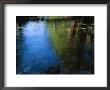 Beautiful Colors Are Reflected In The Merced River by Marc Moritsch Limited Edition Print