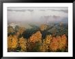 An Aerial View Of Scenic Tygart Valley, In Autumn Colors by Jodi Cobb Limited Edition Pricing Art Print