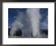 Giant Geyser, Feather And Feather Satellite Vents, At Yellowstone by Norbert Rosing Limited Edition Print