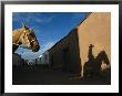 A Horse And Rider Cast A Shadow On An Adobe Wall by Joel Sartore Limited Edition Print