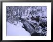 Water Flows Through A Snow-Covered Yellowstone National Park by O. Louis Mazzatenta Limited Edition Print