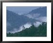Cloud Forest, Central America by Steve Winter Limited Edition Print