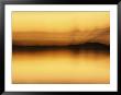 A Blurred View Of Spruce Trees Along The Mackenzie River At Sunset by Raymond Gehman Limited Edition Print