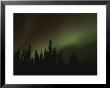 The Aurora Borealis Puts On A Light Show Above The Mackenzie River by Raymond Gehman Limited Edition Print