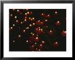 Votive Candles In Notre Dame Cathedral by Raul Touzon Limited Edition Print