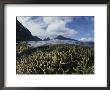 A Split-Level View Of Mountains And Coral Reef by Randy Olson Limited Edition Print