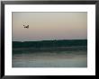 A Seaplane Soars Above The Mackenzie River At Dusk by Raymond Gehman Limited Edition Print