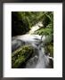 Waterfall, Rwanda by Ariadne Van Zandbergen Limited Edition Print