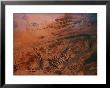 Aerial View Of A Logging Operation by Michael Nichols Limited Edition Pricing Art Print