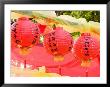 Hanging Red Paper Lanterns, Thailand by Gavriel Jecan Limited Edition Print