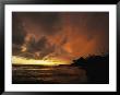 Dramatic View Of The Pacific Ocean At Sunset On The Osa Peninsula by Steve Winter Limited Edition Pricing Art Print