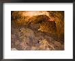Two Skeletons Crawl Up A Rocky Hill In A Cave by Taylor S. Kennedy Limited Edition Print