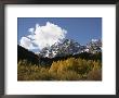 The Majestic Maroon Bells Rise Above Aspen And Evergreen Trees by Charles Kogod Limited Edition Pricing Art Print