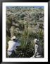 Law Enforcement Officials Stake-Out The U.S. Border With Mexico Near Smugglers Gulch by Robert Sisson Limited Edition Print