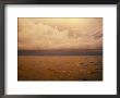 The Caribbean Sea Reflects The Sunset Off Caye Caulker, Belize by Stephen Alvarez Limited Edition Print