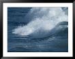Surf by David Boyer Limited Edition Print
