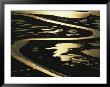Aerial View Of Blackwater National Wildlife Refuge by Skip Brown Limited Edition Pricing Art Print