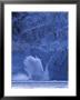 Ice Calves Off Tidewater Surprise Glacier, Harriman Fjord, Prince William Sound, Alaska, Usa by Hugh Rose Limited Edition Pricing Art Print