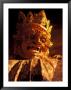 Wrathful Deity At Tashilumpo Monastery, Tibet by Vassi Koutsaftis Limited Edition Print