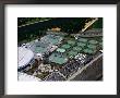 Aerial View Of Melbourne Tennis Centre, Melbourne, Australia by Christopher Groenhout Limited Edition Print