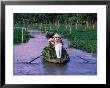 Women Rowing To The Market On The Mekong Delta, Vietnam by John Banagan Limited Edition Print