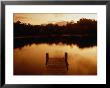 Pier Overlooking Still Water, Mallacoota, Victoria, Australia by Greg Elms Limited Edition Pricing Art Print