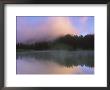Tipsoo Lake Dawn, Mt. Rainier National Park, Washington, Usa by Rob Tilley Limited Edition Print
