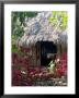 Mayan Woman Sewing Embroidered Clothing, Campamento Hidalgo, Mexico by Lisa S. Engelbrecht Limited Edition Print