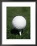 Golf Ball On Tee by Bill Bachmann Limited Edition Print