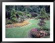 Butchart Gardens, Victoria Bc, Canada by Michele Burgess Limited Edition Print