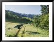 A Woman Portages A Kayak Along A Trail by Skip Brown Limited Edition Print